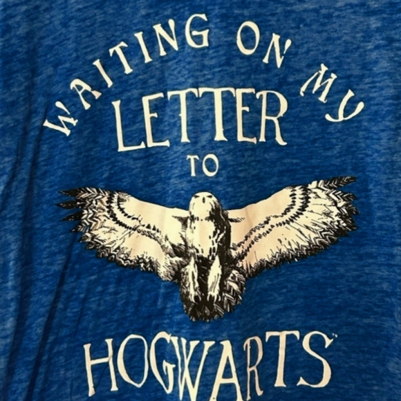 Blue Harry Potter Owl T-shirt ⚡🦉 - Picture 3 of 4